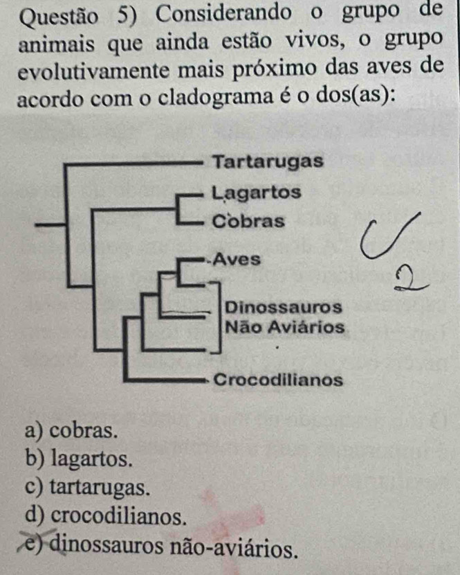 Questão 5) Considerando o grupo de
animais que ainda estão vivos, o grupo
evolutivamente mais próximo das aves de
acordo com o cladograma é o dos(as):
a) cobras.
b) lagartos.
c) tartarugas.
d) crocodilianos.
e) dinossauros não-aviários.