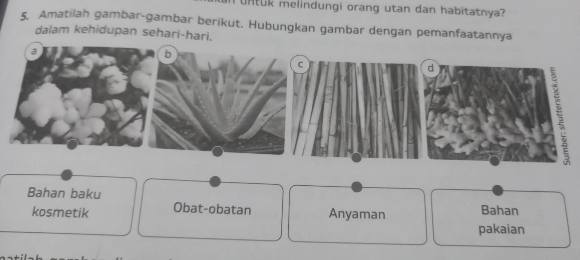 untuk melindungi orang utan dan habitatnya? 
5. Amatilah gambar-gambar berikut. Hubungkan gambar dengan pemanfaatannya 
dalam kehidupan sehari-hari. 
a 
b 
C 
d 
Bahan baku 
Obat-obatan Bahan 
kosmetik Anyaman 
pakaian