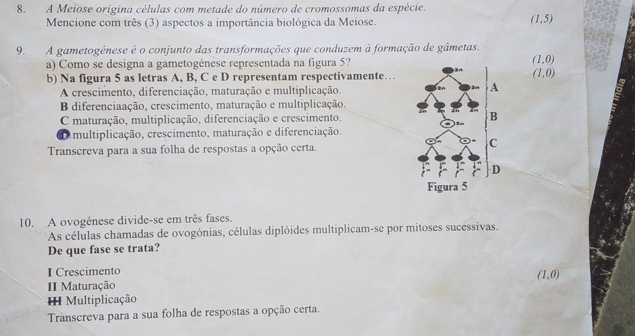 A Meiose origina células com metade do número de cromossomas da espécie.
Mencione com três (3) aspectos a importância biológica da Meiose.
(1,5)
9. A gametogénese é o conjunto das transformações que conduzem à formação de gâmetas.
a) Como se designa a gametogénese representada na figura 5?
(1,0)
b) Na figura 5 as letras A, B, C e D representam respectivamente… .
(1,0)
A crescimento, diferenciação, maturação e multiplicação.
B diferenciaação, crescimento, maturação e multiplicação.
C maturação, multiplicação, diferenciação e crescimento.
multiplicação, crescimento, maturação e diferenciação.
Transcreva para a sua folha de respostas a opção certa.
10. A ovogénese divide-se em três fases.
As células chamadas de ovogónias, células diplóides multiplicam-se por mitoses sucessivas.
De que fase se trata?
I Crescimento
II Maturação (1,0)
Multiplicação
Transcreva para a sua folha de respostas a opção certa.