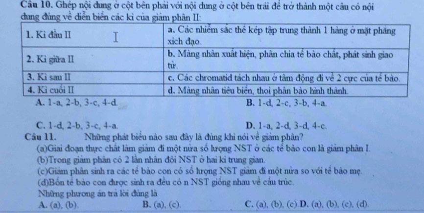 Ghép nội dung ở cột bên phải với nội dung ở cột bên trái đề trở thành một câu có nội
dung đúng về diễn biển các kỉ củaiả
C. 1 -d, 2 -b, 3 -c, 4 -a. D. 1 -a, 2 -d, 3 -d, 4 -c.
Câu 11. Những phát biểu nào sau đây là đủng khi nói về giảm phân?
(a)Giai đoạn thực chất làm giảm đi một nửa số hượng NST ở các tể bảo con là giảm phân I.
(b)Trong giảm phân có 2 lần nhân đôi NST ở hai kỉ trung gian.
(c)Giảm phân sinh ra các tể bào con có số lượng NST giảm đi một nửa so với tể bảo mẹ.
(d)Bốn tể bảo con được sinh ra đều có n NST giống nhau về cầu trúc.
Những phương án trà lời đùng là
A. (a), (b). B. (a), (c). C. (a), (b), (c).D. (a), (b), (c), (d).