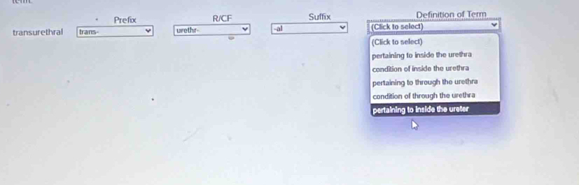 Prefix R/CF Suffix Definition of Term
transurethral trans- urethr -al (Click to select)
(Click to select)
pertaining to inside the urethra
condition of inside the urethra
pertaining to through the urethra
condition of through the urethra
pertaining to inside the ureter