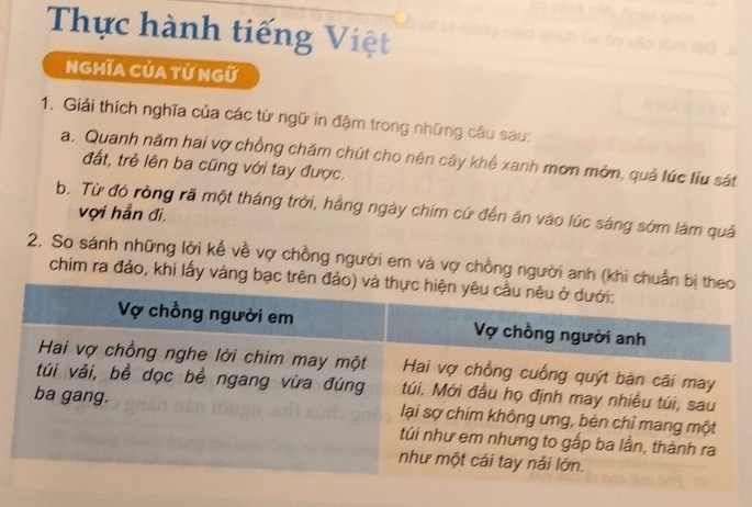 Thực hành tiếng Việt 
Nghĩa Của từ ngữ 
1. Giải thích nghĩa của các từ ngữ in đậm trong những câu sau: 
a. Quanh năm hai vợ chồng chăm chút cho nên cây khế xanh mơn mởn, quả lúc liu sát 
đất, trẻ lên ba cũng với tay được. 
b. Từ đó ròng rã một tháng trời, hằng ngày chim cứ đến ăn vào lúc sáng sớm lâm quả 
vợi hẳn đi. 
2. So sánh những lời kể về vợ chồng người em và vợ chồng người anh (khi ch 
chim ra đảo, khi lấy vàng bạc trê