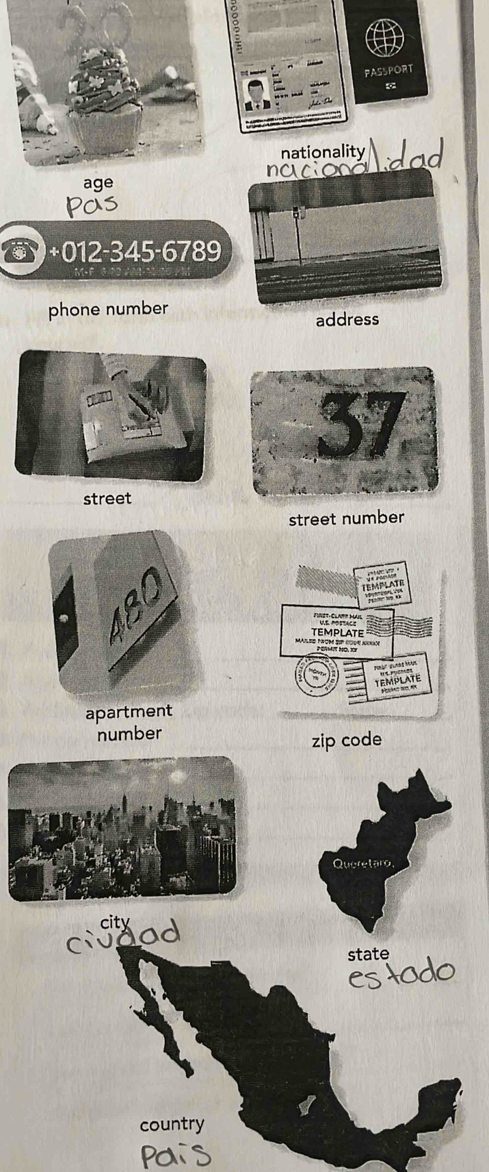 PASSPORT 
nationality 
dad 
5+012-345-6789 
phone number 
address 
street 
street number 
JEMPATE 

TEMPLATE 
'Jm a 
' ' ' h 
TEMPLATE 
number 
zip code 
Queretaro. 
siyad 
state 
country