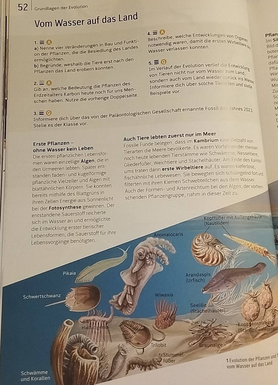 Gelöst:Grundlagen der Evolution Vom Wasser auf das Land 4. ≡ ...