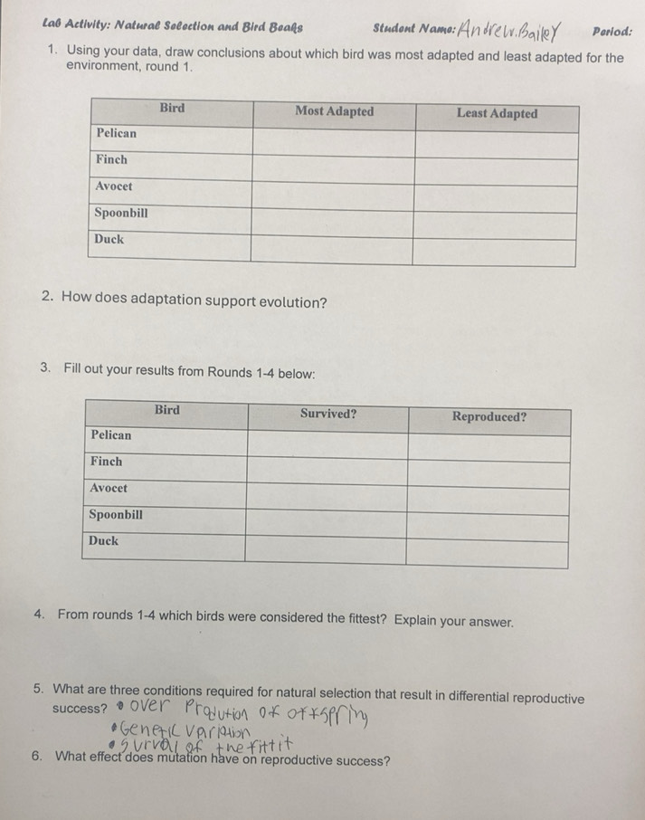 Gelöst:Lab Activity: Natural Selection and Bird Beaks Studont Namo ...