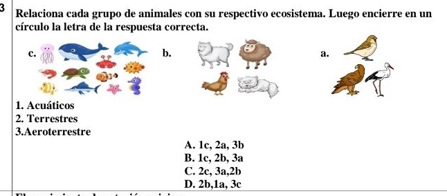 Relaciona cada grupo de animales con su respectivo ecosistema. Luego encierre en un
círculo la letra de la respuesta correcta.
c.
b.
a.
1. Acuáticos
2. Terrestres
3.Aeroterrestre
A. 1c, 2a, 3b
B. 1c, 2b, 3a
C. 2c, 3a, 2b
D. 2b, 1a, 3c