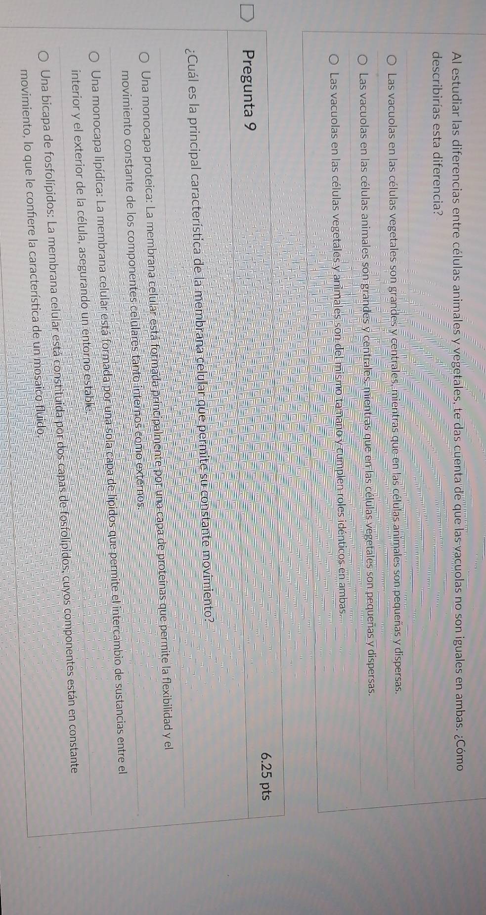 Al estudiar las diferencias entre células animales y vegetales, te das cuenta de que las vacuolas no son iguales en ambas. ¿Cómo
describirías esta diferencia?
Las vacuolas en las células vegetales son grandes y centrales, mientras que en las células animales son pequeñas y dispersas.
Las vacuolas en las células animales son grandes y centrales, mientras que en las células vegetales son pequeñas y dispersas.
Las vacuolas en las células vegetales y animales son del mismo tamano y cumplen roles idénticos en ambas
6.25 pts
Pregunta 9
¿Cuál es la principal característica de la membrana celular que permite su constante movimiento?
Una monocapa proteica: La membrana celular está formada principalmente por una capa de proteínas que permite la flexibilidad y el
movimiento constante de los componentes celulares tanto internos como externos.
Una monocapa lipídica: La membrana celular está formada por una sola capa de lípidos que permite el intercambio de sustancias entre el
interior y el exterior de la célula, asegurando un entorno estable.
Una bicapa de fosfolípidos: La membrana celular está constituida por dos capas de fosfolípidos, cuyos componentes están en constante
movimiento, lo que le confiere la característica de un mosaico fluido.