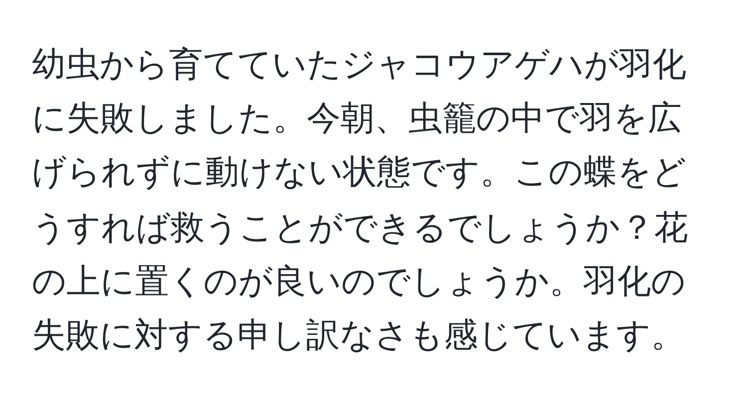 幼虫から育てていたジャコウアゲハが羽化に失敗しました。今朝、虫籠の中で羽を広げられずに動けない状態です。この蝶をどうすれば救うことができるでしょうか？花の上に置くのが良いのでしょうか。羽化の失敗に対する申し訳なさも感じています。