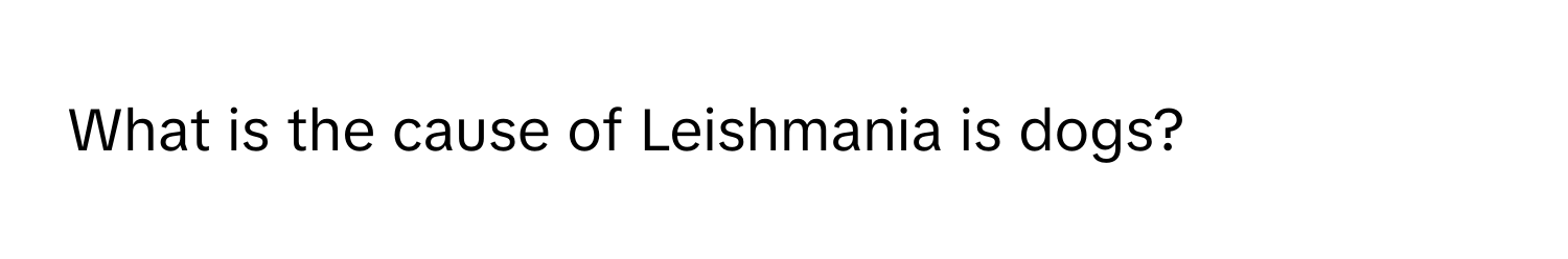 What is the cause of Leishmania is dogs?