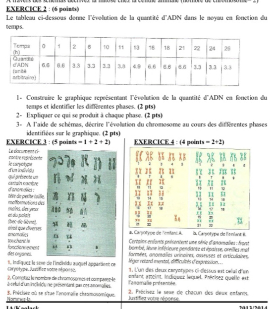 trávers des schémas décrivez la mitose chez la cenule ammale (nombre de chromosome -  2)
EXERCICE 2 : (6 points)
Le tableau ci-dessous donne l'évolution de la quantité d'ADN dans le noyau en fonction du
temps.
1- Construire le graphique représentant l'évolution de la quantité d'ADN en fonction du
temps et identifier les différentes phases. (2 pts)
2- Expliquer ce qui se produit à chaque phase. (2 pts)
3- A l'aide de schémas, décrire l'évolution du chromosome au cours des différentes phases
identifiées sur le graphique. (2 pts)
EXERCICE 3 : (5 points =1+2+2) EXERCICE 4 : (4 points =2+2)
Le document ci-
contre représente
le caryotype 5 3
2
d'un individy 13
0 N
qui présente un
7 4 9
xx it
certain nombre X A 5 X 
d'anomalies :
11 12 1 12
tête de petite taille. x x x x
1 14 15 xx
14 15
malformations des x z
xx
mains, des yeux x x x x 17 1
17 18 16
et du palais 0 x x  1$ 20
1
m1 x1 x
(bec-de-lèvre), 21 22 21 22 x x
ainsi que diverses
anomalies a. Caryotype de lenfant A. b. Caryotype de l'enfant B.
touchant le  Certains enfants présentent une série d'anomalies : front
fonctionnement bombé, lèvre inférieure pendante et épaisse, oreilles mal
des organes. formées, anomalies urinaires, osseuses et articulaires,
1. Indiquez le sexe de l'individu auquel appartient ce léger retard mental, difficultés d'expression.. .
caryotype. Justifiez votre réponse. 1. L'un des deux caryotypes ci-dessus est celui d'un
2. Comptez le nombre de chromosomes et comparez-le enfant atteint. Indiquez lequel. Précisez quelle est
à celui d'un individu ne présentant pas ces anomalies. l'anomalie présentée.
3, Précisez où se situe l'anomalie chromosomique. 2. Précisez le sexe de chacun des deux enfants.
Nommez-la Justifiez votre réponse.