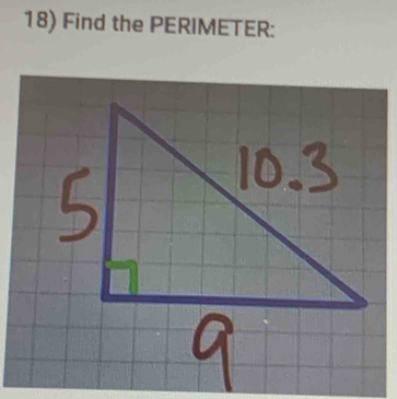 Find the PERIMETER: