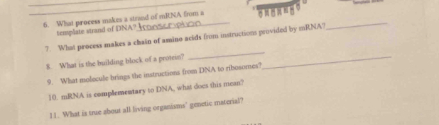 What process makes a strand of mRNA from a 
template strand of DNA? 
7. What process makes a chain of amino acids from instructions provided by mRNA? 
_ 
8. What is the building block of a protein?_ 
_ 
9. What molecule brings the instructions from DNA to ribosomes? 
10. mRNA is complementary to DNA, what does this mean? 
11. What is true about all living organisms’ genetic material?