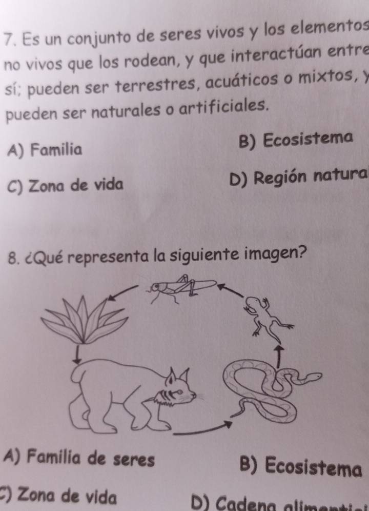 Es un conjunto de seres vivos y los elementos
no vivos que los rodean, y que interactúan entre
sí; pueden ser terrestres, acuáticos o mixtos, y
pueden ser naturales o artificiales.
A) Familia B) Ecosistema
C) Zona de vida D) Región natura
8. ¿Qué representa la siguiente imagen?
A) Familia de seres B) Ecosistema
C) Zona de vida D) Cadena alimer