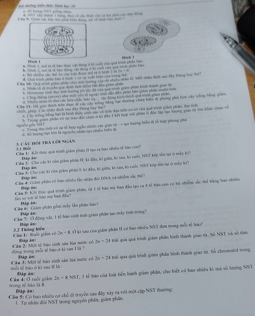 nài dường kiến thức Sinh học 10
e. Số hượng NST giống nhau
d. NST xếp thành 1 hàng, thoi vô sắc đình vào cả bai phia của tâm động.
Cầu 9: Quan sát, bầy tìm phát biểu đùng, sa về hình bên đ
Hình 2
Hình 1
a. Hình 1, mô tả tế bào thực vật đang ở kì cuối của quá trình phân bảo.
b, Hình 2, mô tả tế bào động vật đang ở kì cuối của quá trình phân bảo.
c. Bộ nhiễm sắc thể 2n của loài được mô tả ở hình 2 là 2n=6.
d. Quá trình phân bảo ở hình 1 có sự xuất hiện của trung thể.
Câu 10: Quá trình giảm phân chịu ảnh hưởng của rất nhiều nhân tố. Mỗi nhận định sau đây Đúng hay Sai?
a. Nhân tố di truyền quy định thời điểm bắt đầu giảm phân
b. Hormone sinh dục ảnh hưởng tới tốc độ của quá trình giảm phân hình thành giao tử.
c. Căng thắng (stress) như một yếu tố ngoại sinh dẫn đến phân bào giảm phân muộn hơn.
d. Nhiều nhân tổ như các hóa chất, bức xạ,. .. tác động kích thích quá trình giảm phân.
Cầu 11: Để giải thích trên thực tế các cây trồng bằng hạt thường chứa biển dị phong phú hơn cây trồng bằng giâm.
chiết, ghép. Các nhận định sau đây Đúng hay Sai?
a. Cây trồng bằng hạt là hình thức sinh sản vô tỉnh dựa trên cơ sở của quá trình giảm phân, thụ tỉnh.
b. Trong giảm phân có sự trao đổi chéo ở kì đầu I kết hợp với phân li độc lập tạo lượng giao từ lớn khác nhau về
c. Trong thụ tinh có sự tổ hợp ngẫu nhiên các giao tử → tạo lượng biển dị tổ hợp phong phú
nguồn gốc NST
d. Số lượng hạt lớn là nguyên nhân tạo nhiều biển dị
3. câU Hỏi trả lời ngán
3.1 Biết
Câu 1: Kết thúc quá trình giảm phân II tạo ra bao nhiêu tế bào con?
Câu 2: Cho các kì của giảm phân II: kỉ đầu, kì giữa, kì sau, kì cuối. NST kép tồn tại ở mấy kì?
Đáp án:
Đáp án:
Câu 3: Cho các kì của giảm phân I: kì đầu, kì giữa, kì sau, kì cuối. NST kép tồn tại ở mấy kì?
Đáp án:
Câu 4: Giảm phân có bao nhiêu lần nhân đôi DNA và nhiễm sắc thể?
Câu 5: Kết thúc quá trình giảm phân, từ 1 tế bảo mẹ ban đầu tạo ra 4 tế bào con có bộ nhiễm sắc thể bằng bao nhiêu
Đáp án:
lần so với tế bảo mẹ ban đầu?
Đáp án:
Câu 6: Giảm phân gồm mấy lần phân bảo?
Đáp án:
Câu 7: Ở động vật, 1 tế bào sinh tinh giảm phân tạo mấy tinh trùng?
Đáp án:
3.2 Thông hiểu
Câu 1: Ruồi giấm có 2n=8. Ở kì sau của giảm phân II có bao nhiêu NST đơn trong mỗi tế bảo?
Câu 2: Một tế bào sinh sản lúa nước có 2n=24 trải qua quá trình giảm phân hình thành giao tử. Số NST và số tâm
Đáp án:
động trong mỗi tế bào ở kì sau I là ?
Câu 3: Một tế bào sinh sản lúa nước có 2n=24 trải qua quá trình giảm phân hình thành giao tử. Số chromatid trong
Đáp án:
mỗi tế bào ở kì sau II là :
Câu 4: Ở ruồi giấm 2n=8NST , 1 tế bào của loài tiến hành giảm phân, cho biết có bao nhiêu kì mà số lượng NST
Đáp án:
trong tế bào là 8.
Đáp án:
Câu 5: Có bao nhiêu cơ chế di truyền sau đây xảy ra với một cặp NST thường:
1. Tự nhân đôi NST trong nguyên phân, giảm phân.