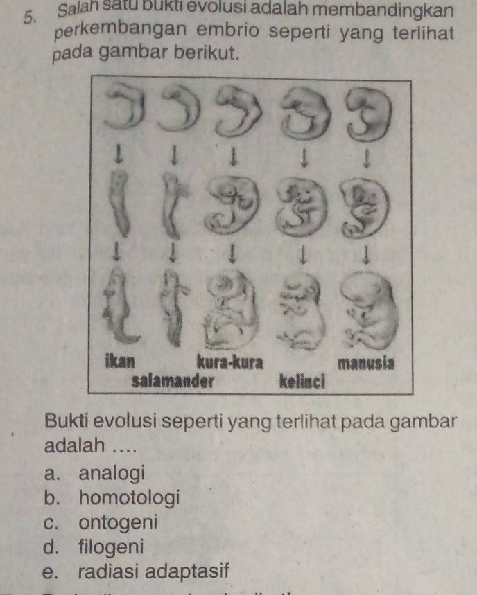 Salah satu bukti evolusi adalah membandingkan
perkembangan embrio seperti yang terlihat
pada gambar berikut.
Bukti evolusi seperti yang terlihat pada gambar
adalah ....
a. analogi
b. homotologi
c. ontogeni
d. filogeni
e. radiasi adaptasif