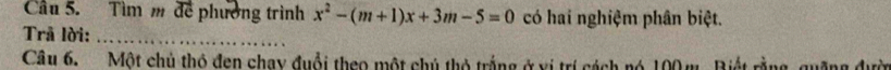 Cầu 5. Tìm m để phường trình x^2-(m+1)x+3m-5=0 có hai nghiệm phân biệt. 
Trã lời:_ 
Câu 6. Một chủ thỏ đen chay đuổi theo một chú thỏ trắng ở vị trí cách nó 100 m Biết rằng