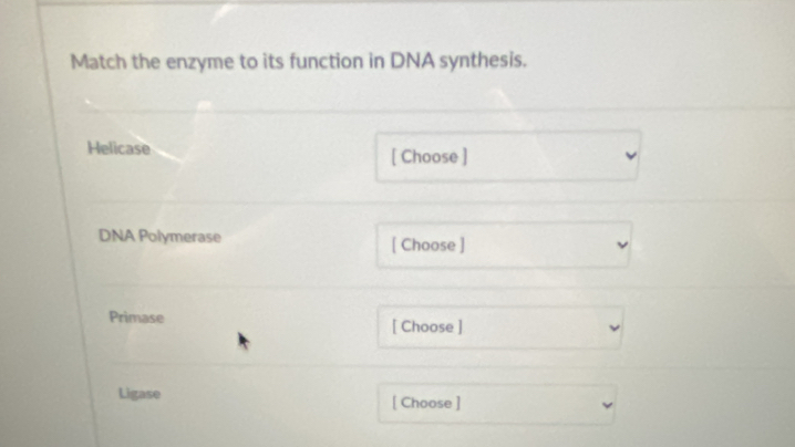 Match the enzyme to its function in DNA synthesis. 
Helicase [ Choose ] 
DNA Polymerase [ Choose ] 
Primase [ Choose ] 
Ligase [ Choose ]