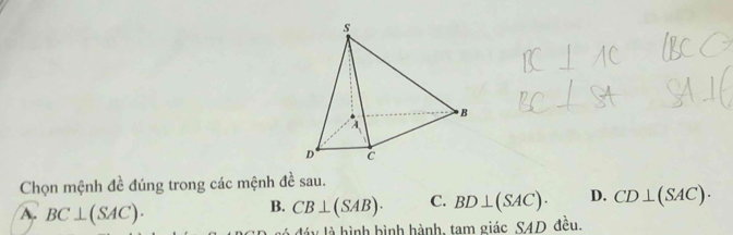 Chọn mệnh đề đúng trong các mệnh đề sau.
A. BC⊥ (SAC).
B. CB⊥ (SAB). C. BD⊥ (SAC). D. CD⊥ (SAC). 
l đáy là hình hình hành, tam giác SAD đều.