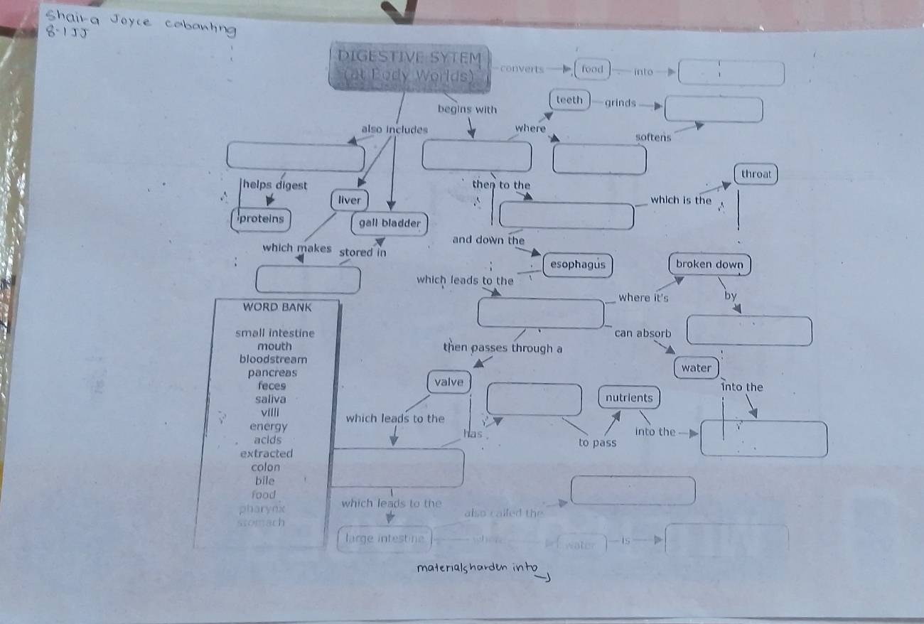 Shaira Joyce cobawtng 
DIGESTIVE SYTEM converts food into 
at Pody Worlds) 
teeth grinds 
begins with 
also includes where 
softens 
throat 
helps digest then to the 
.` liver _which is the 
proteins gall bladder 
and down the 
which makes stored in 
esophagus broken down 
which leads to the 
_where it's by 
WORD BANK 
small intestine can absorb 
mouth then passes through a 
bloodstream 
pancreas water 
feces valve into the 
saliva nutrients 
villi which leads to the 
energy has into the 
acids to pass 
extracted 
colon 
bile 
food 
pharynx which leads to the 
also called the 
stomach 
large intestine 
-is 
materials harde into