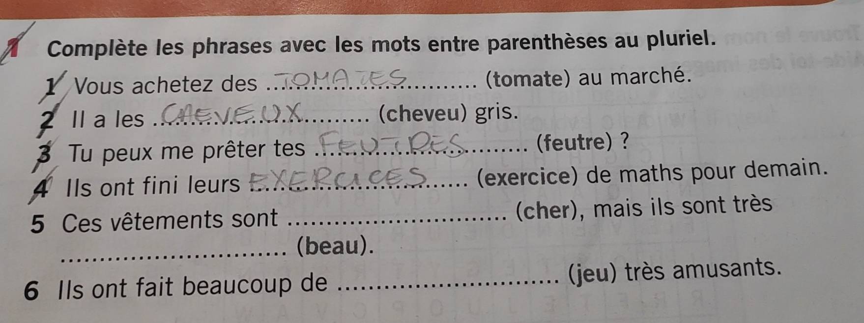 Complète les phrases avec les mots entre parenthèses au pluriel. 
1 Vous achetez de _(tomate) au marché. 
2 Il a les _(cheveu) gris. 
3 Tu peux me prêter tes _(feutre) ? 
A Ils ont fini leurs _(exercice) de maths pour demain. 
5 Ces vêtements sont _(cher), mais ils sont très 
_(beau). 
6 Ils ont fait beaucoup de _(jeu) très amusants.