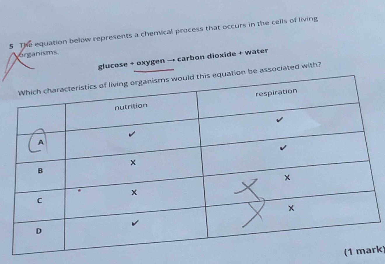 The equation below represents a chemical process that occurs in the cells of living 
organisms. 
glucose + oxygen → carbon dioxide + water 
e associated with? 
k)