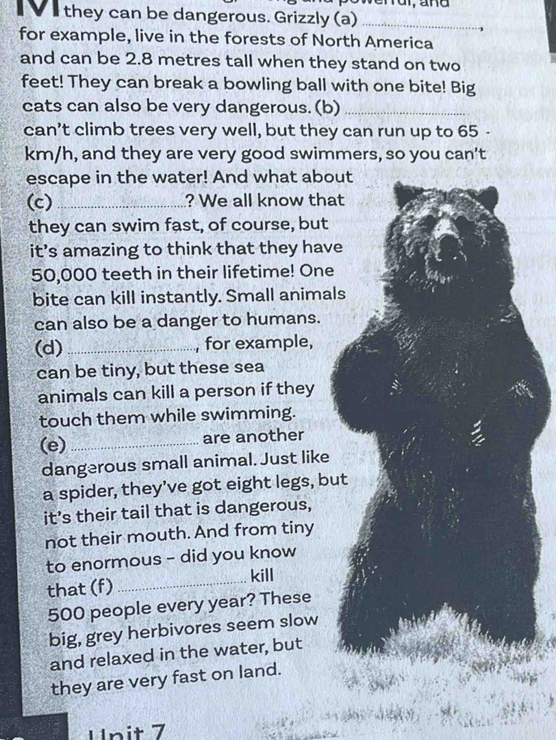 they can be dangerous. Grizzly (a)_ 
for example, live in the forests of North America 
and can be 2.8 metres tall when they stand on two 

feet! They can break a bowling ball with one bite! Big 
cats can also be very dangerous. (b)_ 
can’t climb trees very well, but they can run up to 65 -
km/h, and they are very good swimmers, so you can’t 
escape in the water! And what about 
(c) _? We all know that 
they can swim fast, of course, but 
it’s amazing to think that they have
50,000 teeth in their lifetime! One 
bite can kill instantly. Small animals 
can also be a danger to humans. 
(d)_ , for example, 
can be tiny, but these sea 
animals can kill a person if they 
touch them while swimming. 
(e) _are another 
dangerous small animal. Just like 
a spider, they’ve got eight legs, but 
it’s their tail that is dangerous, 
not their mouth. And from tiny 
to enormous - did you know 
kill 
that (f)_
500 people every year? These 
big, grey herbivores seem slow 
and relaxed in the water, but 
they are very fast on land. 
Unit 7