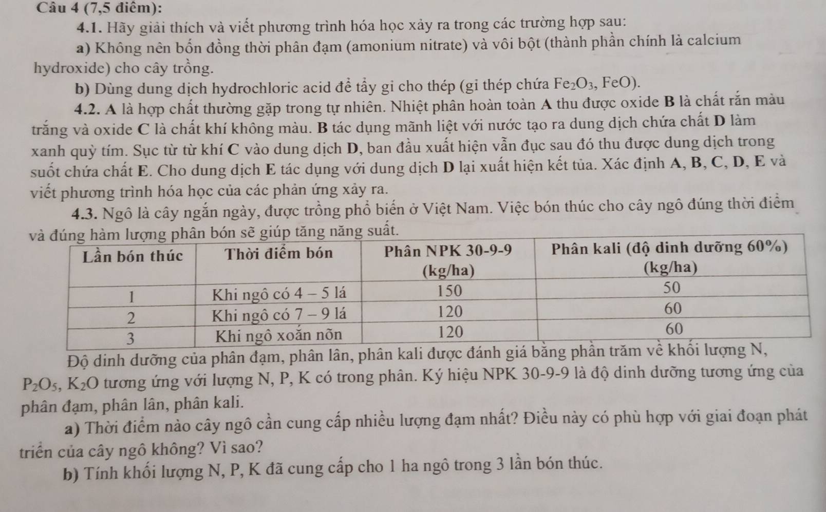 (7,5 điểm):
4.1. Hãy giải thích và viết phương trình hóa học xảy ra trong các trường hợp sau:
a) Không nên bốn đồng thời phân đạm (amonium nitrate) và vôi bột (thành phần chính là calcium
hydroxide) cho cây trồng.
b) Dùng dung dịch hydrochloric acid để tẩy gi cho thép (gi thép chứa Fe_2O_3 , FeO).
4.2. A là hợp chất thường gặp trong tự nhiên. Nhiệt phân hoàn toàn A thu được oxide B là chất rắn màu
trắng và oxide C là chất khí không màu. B tác dụng mãnh liệt với nước tạo ra dung dịch chứa chất D làm
xanh quỳ tím. Sục từ từ khí C vào dung dịch D, ban đầu xuất hiện vẫn đục sau đó thu được dung dịch trong
suốt chứa chất E. Cho dung dịch E tác dụng với dung dịch D lại xuất hiện kết tủa. Xác định A, B, C, D, E và
viết phương trình hóa học của các phản ứng xảy ra.
4.3. Ngô là cây ngắn ngày, được trồng phổ biến ở Việt Nam. Việc bón thúc cho cây ngô đúng thời điểm
ất.
Độ dinh dưỡng của phân đạm, phân lân, phân kali được đánh giá b
P_2O_5,K_2O tương ứng với lượng N, P, K có trong phân. Ký hiệu NPK 30-9-9 là độ dinh dưỡng tương ứng của
phân đạm, phân lân, phân kali.
a) Thời điểm nào cây ngô cần cung cấp nhiều lượng đạm nhất? Điều này có phù hợp với giai đoạn phát
triển của cây ngô không? Vì sao?
b) Tính khối lượng N, P, K đã cung cấp cho 1 ha ngô trong 3 lần bón thúc.