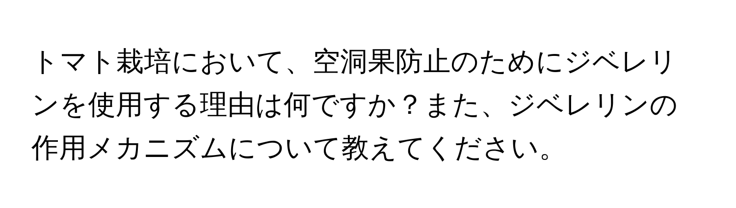 トマト栽培において、空洞果防止のためにジベレリンを使用する理由は何ですか？また、ジベレリンの作用メカニズムについて教えてください。