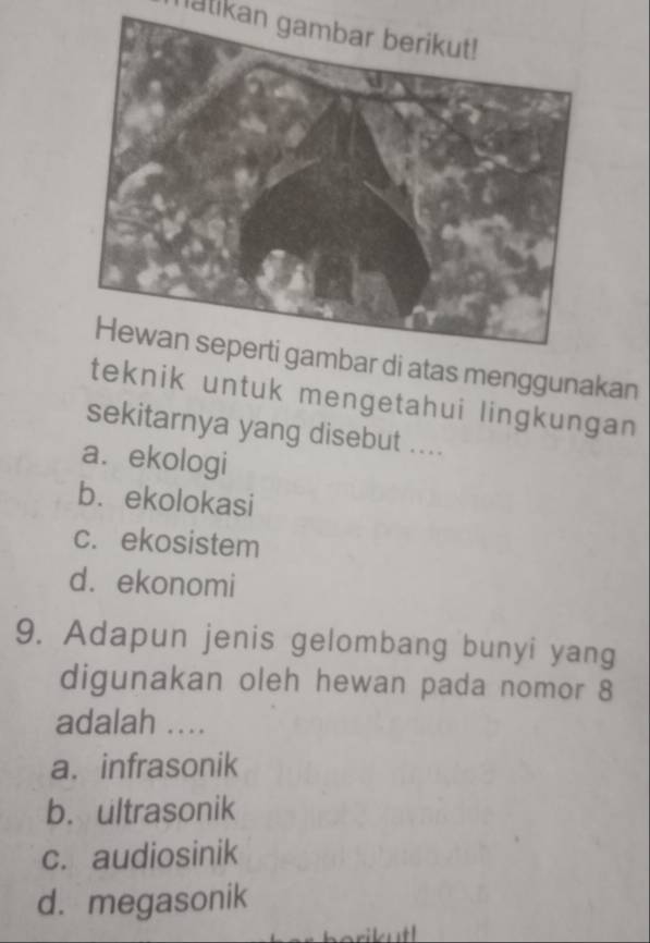 natikan gambar berikut!
di atas menggunakan
teknik untuk mengetahui lingkungan 
sekitarnya yang disebut ....
a. ekologi
b. ekolokasi
c. ekosistem
d. ekonomi
9. Adapun jenis gelombang bunyi yang
digunakan oleh hewan pada nomor 8
adalah ...
a. infrasonik
b. ultrasonik
c. audiosinik
d. megasonik
ikut!