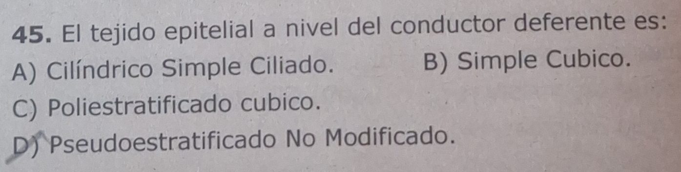 El tejido epitelial a nivel del conductor deferente es:
A) Cilíndrico Simple Ciliado. B) Simple Cubico.
C) Poliestratificado cubico.
D) Pseudoestratificado No Modificado.