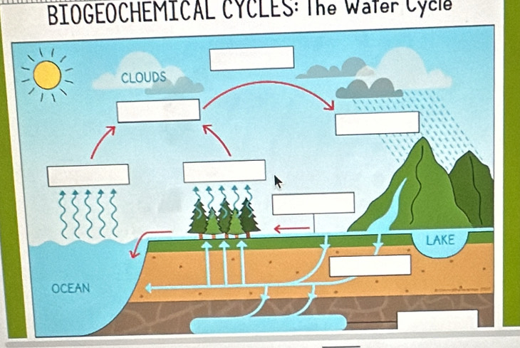 BIOGEOCHEMICAL CYCLES: The Water Cyels