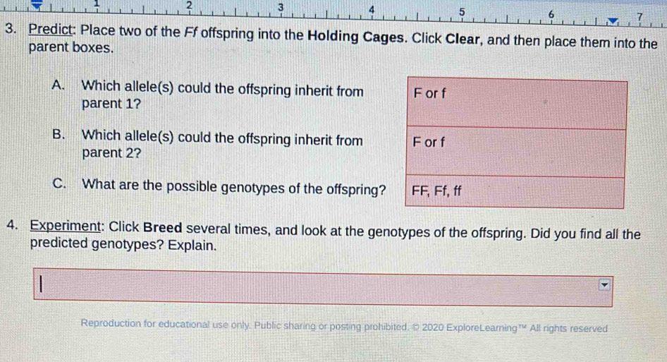 1
2
3
4
5
6
7
3. Predict: Place two of the Ff offspring into the Holding Cages. Click Clear, and then place them into the 
parent boxes. 
A. Which allele(s) could the offspring inherit from 
parent 1? 
B. Which allele(s) could the offspring inherit from 
parent 2? 
C. What are the possible genotypes of the offspring? 
4. Experiment: Click Breed several times, and look at the genotypes of the offspring. Did you find all the 
predicted genotypes? Explain. 
Reproduction for educational use only. Public sharing or posting prohibited. © 2020 ExploreLearning™ All rights reserved