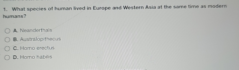 What species of human lived in Europe and Western Asia at the same time as modern
humans?
A. Neanderthals
B. Australopithecus
C. Homo erectus
D. Homo habilis