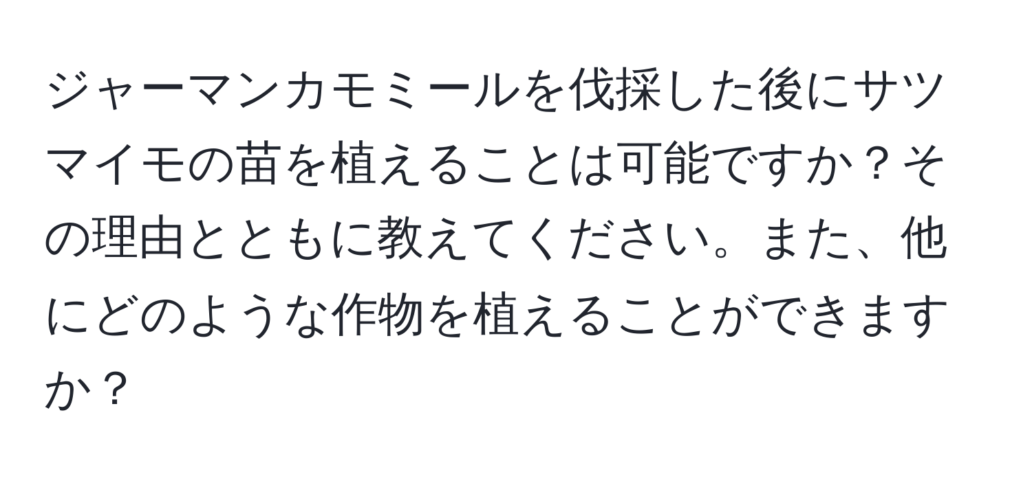 ジャーマンカモミールを伐採した後にサツマイモの苗を植えることは可能ですか？その理由とともに教えてください。また、他にどのような作物を植えることができますか？