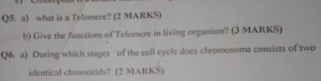 what is a Telomere? (2 MARKS) 
b) Give the functions of Telomere in living organism? (3 MARKS) 
Q6. a) During/which stages of the cell cycle does chromosome consists of two 
identical chromatids? (2 MARKS)