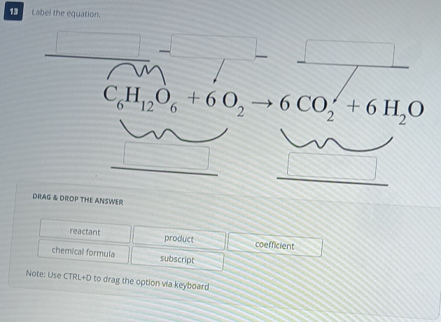 Label the equation.
_ □ -□ _  □
C_6H_12O_6+6O_2to 6CO_2^(/+6H_2)O
□ □ = □
DRAG & DROP THE ANSWER 
reactant product coefficient 
chemical formula subscript 
Note: Use CTRL+D to drag the option via keyboard