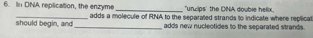 In DNA replication, the enzyme _"unzips' the DNA double helix, 
_adds a molecule of RNA to the separated strands to indicate where replicat 
should begin, and _adds new nucleotides to the separated strands.