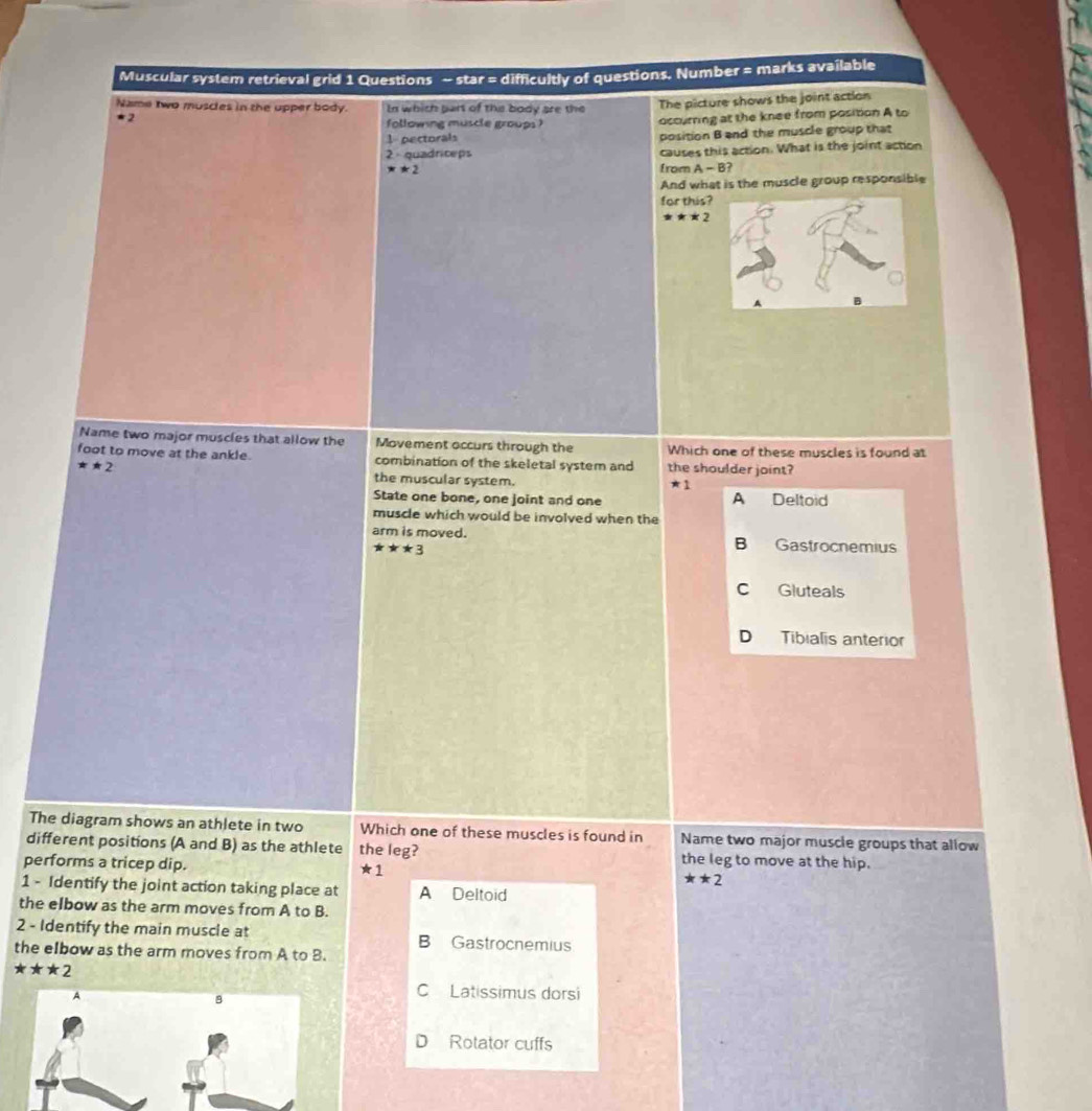 Muscular system retrieval grid 1 Questions - star = difficultly of questions. Number = marks available
Name two muscles in the upper body. In which part of the body are the The picture shows the joint action
*2
following muscle groups ? occurring at the knee from position A to
l pectorals position B and the muscle group that
2 - quadriceps causes this action. What is the joint action
x!= 2 from A-B
And what is the muscle group responsible
for this?
** 2
Name two major muscles that allow the Movement occurs through the Which one of these muscles is found at
foot to move at the ankle. combination of the skeletal system and the shoulder joint?
**2 the muscular system.
*1 
State one bone, one joint and one A Deltoid
muscle which would be involved when the
arm is moved. B Gastrocnemius
**3
cí Gluteals
D Tibialis anterior
The diagram shows an athlete in two Which one of these muscles is found in Name two major muscle groups that allow
different positions (A and B) as the athlete the leg? the leg to move at the hip.
performs a tricep dip. != 1 **2
1 - Identify the joint action taking place at A Deltoid
the elbow as the arm moves from A to B.
2 - Identify the main muscle at B Gastrocnemius
the elbow as the arm moves from A to B.
***2
C Latissimus dorsi
Rotator cuffs