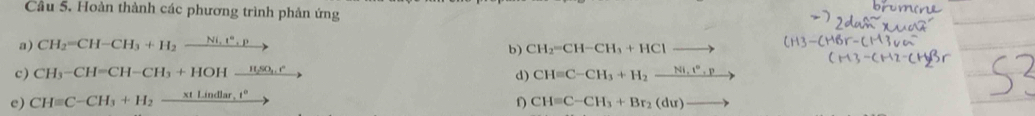 Cầu 5. Hoàn thành các phương trình phản ứng 
a) CH_2=CH-CH_3+H_2xrightarrow Ni.t°.p
b) CH_2=CH-CH_3+HClto
c) CH_3-CH=CH-CH_3+HOHxrightarrow H_2SO_4·  CHequiv C-CH_3+H_2xrightarrow Ni.t°.p
d) 
e) CHequiv C-CH_3+H_2xrightarrow * tLindlar,t°
f) CH=C-CH_3+Br_2(du)to