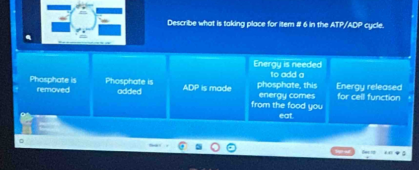 Describe what is taking place for item # 6 in the ATP// ADP cycle. 
Energy is needed 
to add a 
Phosphate is Phosphate is phosphate, this Energy released 
removed added ADP is made energy comes for cell function 
from the food you 
eat. 
61