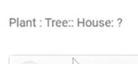 Plant : Tree:: House: ?