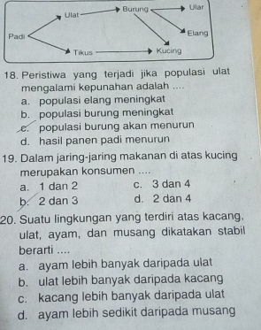 Peristiwa yang terjadi jika populasi ulat
mengalami kepunahan adalah ....
a. populasi elang meningkat
b. populasi burung meningkat
populasi burung akan menurun
d. hasil panen padi menurun
19. Dalam jaring-jaring makanan di atas kucing
merupakan konsumen ....
a. 1 dan 2 c. 3 dan 4
b. 2 dan 3 d. 2 dan 4
20. Suatu lingkungan yang terdiri atas kacang,
ulat, ayam, dan musang dikatakan stabil
berarti ....
a. ayam lebih banyak daripada ulat
b. ulat lebih banyak daripada kacang
c. kacang lebih banyak daripada ulat
d. ayam lebih sedikit daripada musang