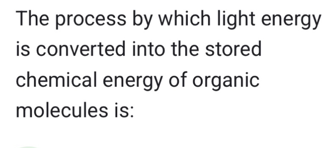 The process by which light energy 
is converted into the stored 
chemical energy of organic 
molecules is: