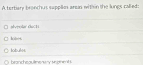 A tertiary bronchus supplies areas within the lungs called:
alveolar ducts
lobes
lobules
bronchopulmonary segments