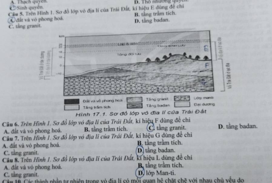 A. Thạch quyen D. Tho nhương quycn
ÔSinh quyền.
Câu 5. Trên Hình 1. Sơ đồ lớp vô địa lí của Trái Đất, kí hiệu E dùng để chỉ
A đất và vỏ phong hoá. B. tầng trầm tích.
C. tầng granit. D. tầng badan.
Câu 6, Trên Hình 1. Sơ đồ lớp vỏ địa lí của Trái Đất, kí hiệu F dùng đề chỉ
A. đất và vỏ phong hoá. B. tầng trầm tích. C tầng granit.
D. tầng badan.
Câu 7. Trên Hình 1. Sơ đồ lớp vỏ địa lí của Trái Đất, kí hiệu G dùng đề chỉ
A. đất và vỏ phong hoá. B. tầng trầm tích.
C. tầng granit. D. tầng badan.
Cầu 8. Trên Hình 1. Sơ đồ lớp vỏ địa lí của Trái Đất, kí hiệu L dùng đề chỉ
A. đất và vỏ phong hoá. B. tầng trầm tích.
C. tầng granit. D. lớp Man-ti.
Câu 10. Các thành phần tự nhiên trong vỏ địa lí có mỗi quan hệ chặt chẽ với nhau chủ vều do