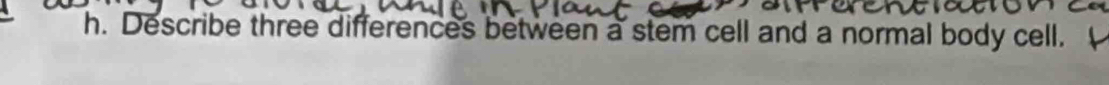 Describe three differences between a stem cell and a normal body cell.