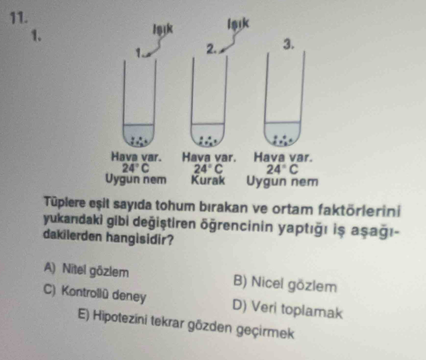 Tüplere eşit sayıda tohum bırakan ve ortam faktörlerini
yukanıdaki gibi değiştiren öğrencinin yaptığı iş aşağı-
dakilerden hangisidir?
A) Nitel gözlem B) Nicel gözlem
C) Kontrollü deney D) Veri toplamak
E) Hipotezíni tekrar gözden geçirmek