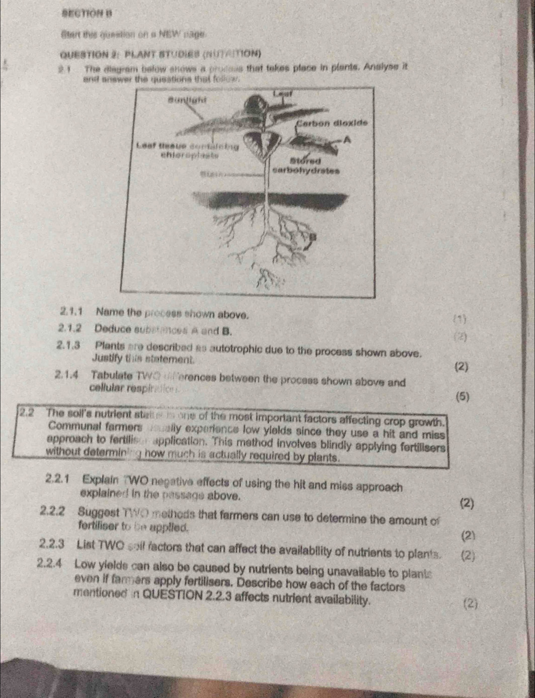 Start this question on a NEW page 
QUESTION 2: PLANT STUDIES (NりΑ|TION) 
2.1 The diagram below snows a prodess that takes place in plants. Analyse it 
and 
2.1.1 Name the process shown above. 
(1) 
2.1.2 Deduce substances A and B. 
(2) 
2.1.3 Plants are described as autotrophic due to the process shown above. 
Justify this statement. 
(2) 
2.1.4 Tabulate TWO ferences between the process shown above and 
cellular respir tice 
(5) 
2.2 The soil's nutrient state is one of the most important factors affecting crop growth. 
Communal farmers uenally experience low ylelds since they use a hit and miss 
approach to fertilisor application. This method involves blindly applying fertilisers 
without determining how much is actually required by plants. 
2.2.1 Explain 'WO negative effects of using the hit and miss approach 
explained in the passage above. 
(2) 
2.2.2 Suggest TWO metheds that farmers can use to determine the amount of 
fertiliser to be applied. 
(2) 
2.2.3 List TWO seil factors that can affect the availability of nutrients to plants. (2) 
2.2.4 Low yields can also be caused by nutrients being unavailable to plantc 
even if fammers apply fertilisers. Describe how each of the factors 
mentioned in QUESTION 2.2.3 affects nutrient availability. (2)