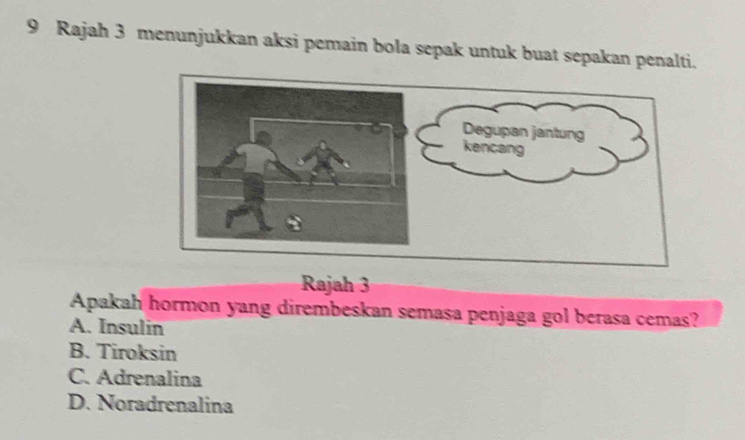 Rajah 3 menunjukkan aksi pemain bola sepak untuk buat sepakan penalti.
a a h 
Apakah hormon yang dirembeskan semasa penjaga gol berasa cemas?
A. Insulin
B. Tiroksin
C. Adrenalina
D. Noradrenalina