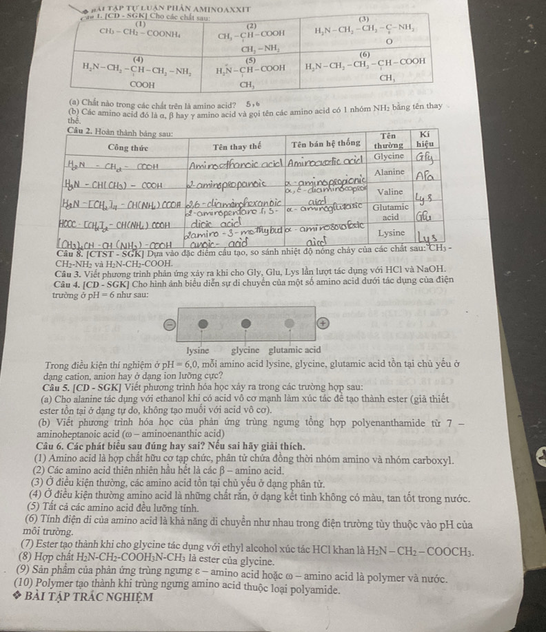 ITAPTULUAN
(a) Chất nào trong các chất trên là amino acid?
thể. (b) Các amino acid đó là α, β hay γ amino acid và gọi tên các amino acid có 1 nhóm NH₂ bằng tên thay
Câu 8. |CTST-SGK| * Dựa vào đặc 
CH> NH_2vaH_2N-CH_2-COOH.
Cầâu 3. Viết phương trình phản ứng xảy ra khi cho Gly, Glu, Lys lần lượt tác dụng với HCl và NaOH.
Câu 4. [CD-SGK] Cho hình ảnh biểu diễn sự di chuyền của một số amino acid dưới tác dụng của điện
trường ở H=6 như sau:
lysine glycine glutamic acid
Trong điều kiện thí nghiệm ở pH=6,0 0, mỗi amino acid lysine, glycine, glutamic acid tồn tại chủ yếu ở
dang cation, anion hay ở dạng ion lưỡng cực?
Câu 5. [CD - SGK] Viết phương trình hóa học xảy ra trong các trường hợp sau:
(a) Cho alanine tác dụng với ethanol khi có acid vô cơ mạnh làm xúc tác để tạo thành ester (giả thiết
ester tồn tại ở dạng tự do, không tạo muối với acid vô cơ).
(b) Viết phương trình hóa học của phản ứng trùng ngưng tồng hợp polyenanthamide từ 7 -
aminoheptanoic acid (ω - aminoenanthic acid)
Câu 6. Các phát biểu sau đúng hay sai? Nếu sai hãy giải thích.
(1) Amino acid là hợp chất hữu cơ tạp chức, phân tử chứa đồng thời nhóm amino và nhóm carboxyl.
(2) Các amino acid thiên nhiên hầu hết là các β - amino acid.
(3) Ở điều kiện thường, các amino acid tồn tại chủ yếu ở dạng phân tử.
(4) Ở điều kiện thường amino acid là những chất rắn, ở dạng kết tinh không có màu, tan tốt trong nước.
(5) Tất cả các amino acid đều lưỡng tính.
(6) Tính điện di của amino acid là khả năng di chuyền như nhau trong điện trường tủy thuộc vào pH của
môi trường.
(7) Ester tạo thành khi cho glycine tác dụng với ethyl alcohol xúc tác HCl khan là H_2N-CH_2-COOCH_3.
(8) Hợp chất H_2N-CH_2-COOH_3N-CH_3 là ester của glycine.
(9) Sản phầm của phản ứng trùng ngưng ε - amino acid hoặc ω - amino acid là polymer và nước.
(10) Polymer tạo thành khi trùng ngưng amino acid thuộc loại polyamide.
bài tập trÁC nghiệm